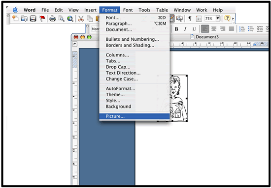 Choose Format from the menu bar then choose Picture from the drop down menu. 