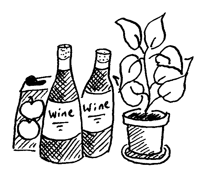 Wine